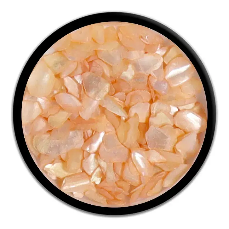 Shell Flakes decoração unhas Hit Nails