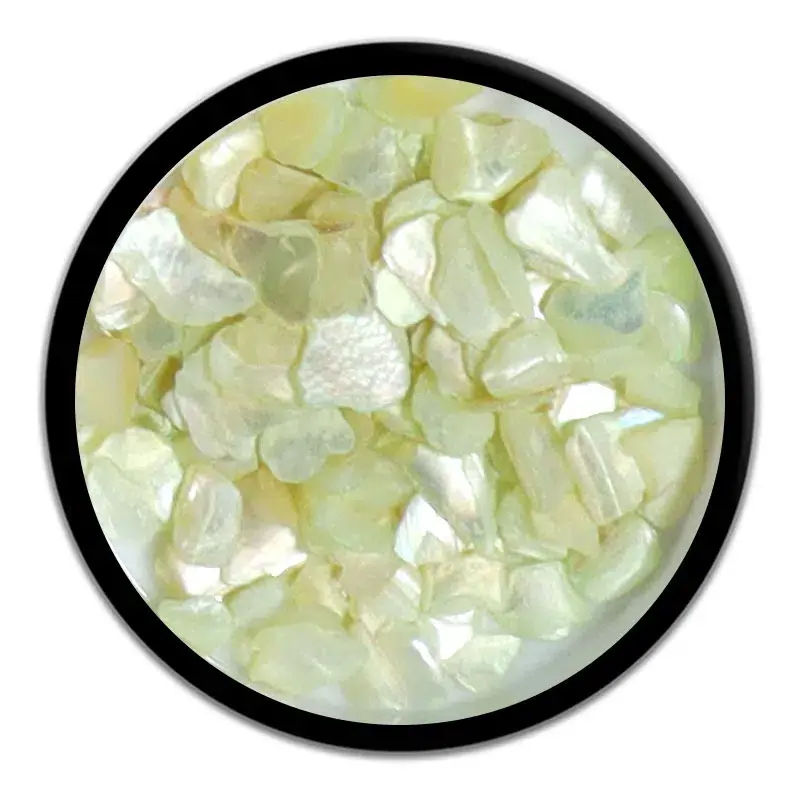Shell Flakes decoração unhas Hit Nails