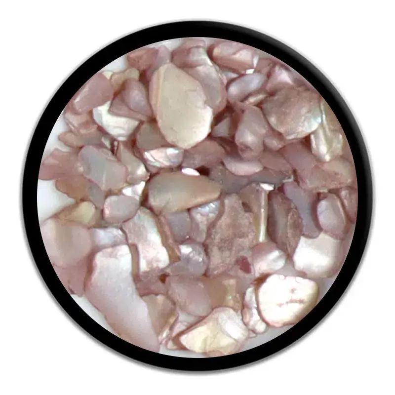 Shell Flakes decoração unhas Hit Nails